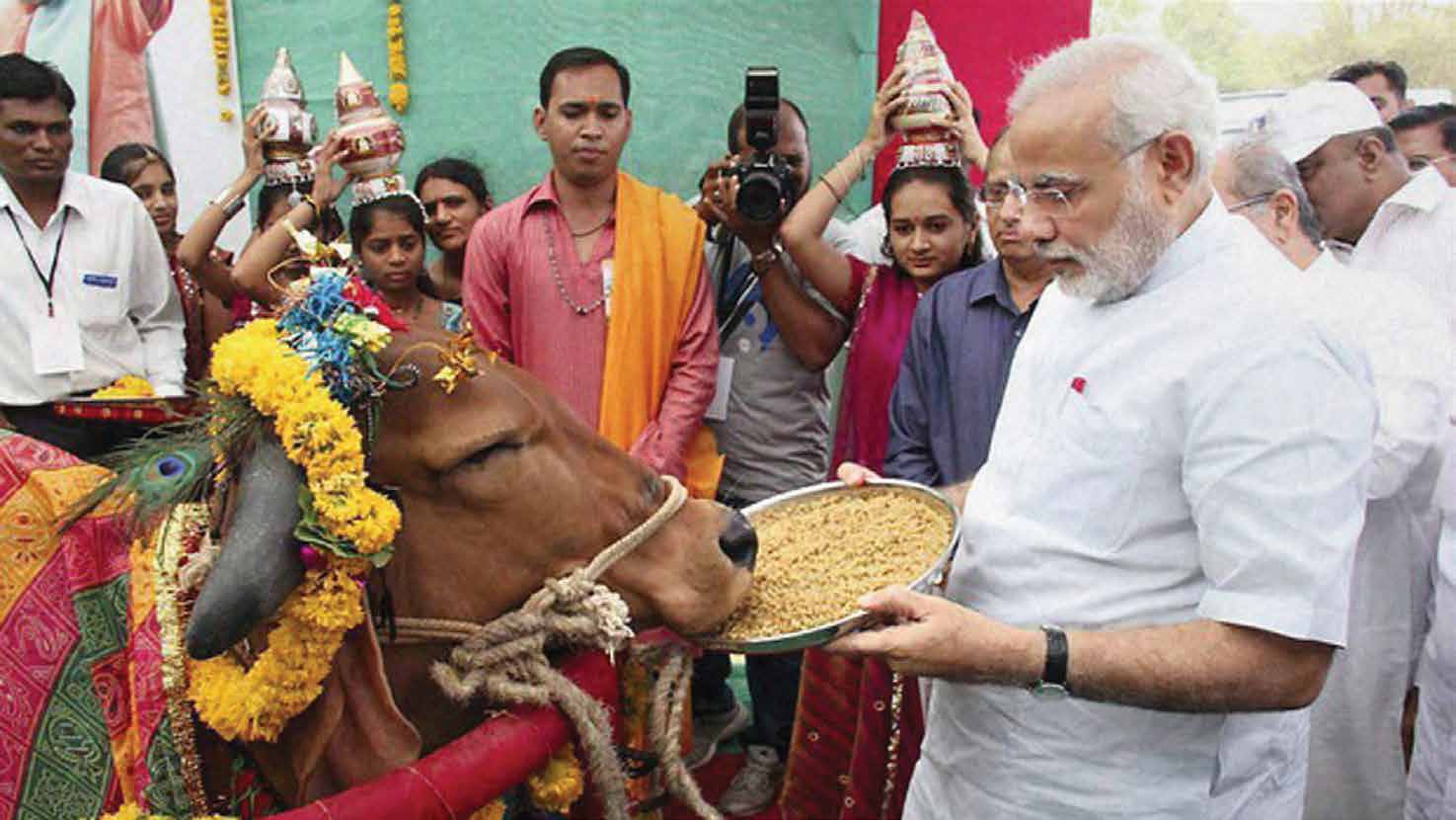 During his days as Gujarat CM, Modi promoted cow-protection groups